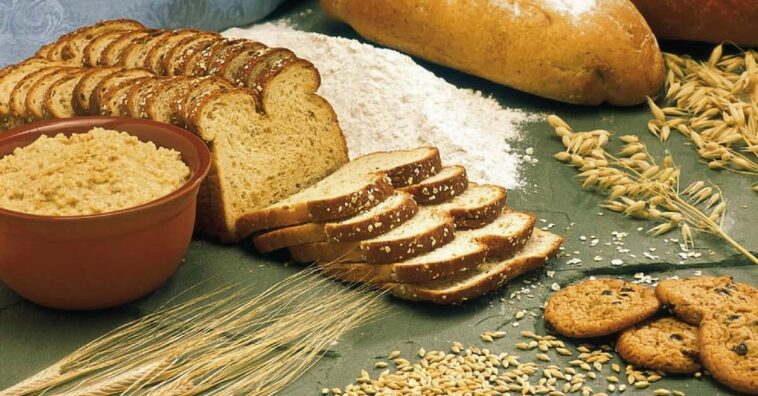 relación entre los carbohidratos y el Alzheimer