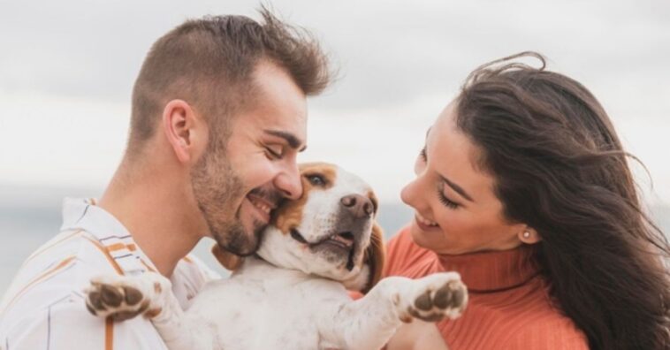 fallecimiento de un perro es tan doloroso como el de un ser querido