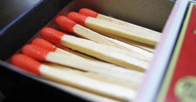 palitos de fósforos combaten plagas