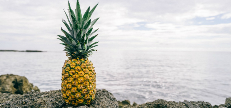 frutas para adelgazar pina