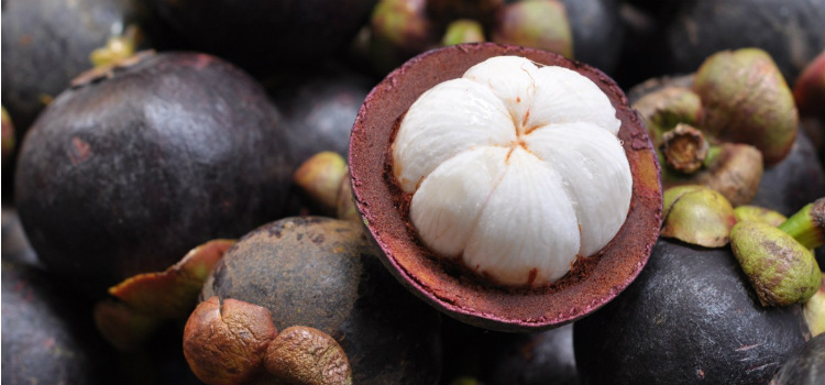 frutas tropicales mangostan