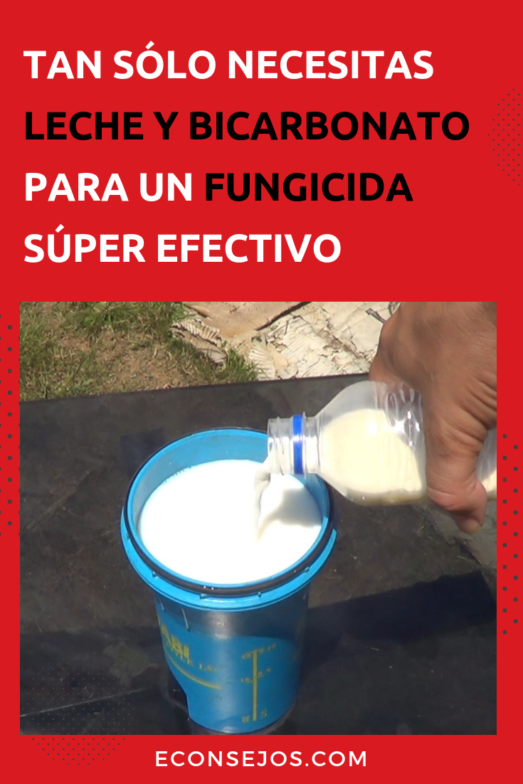 Fungicida casero