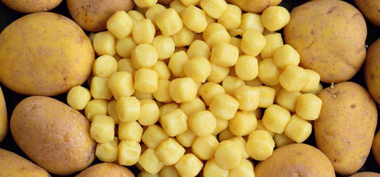 gnocchi papa