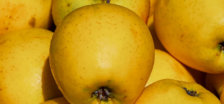 manzana golden