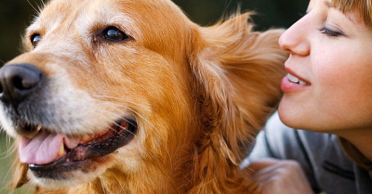 Si Eres De Las Personas Que Hablas Con Tu Perro No Est s Loco l Te