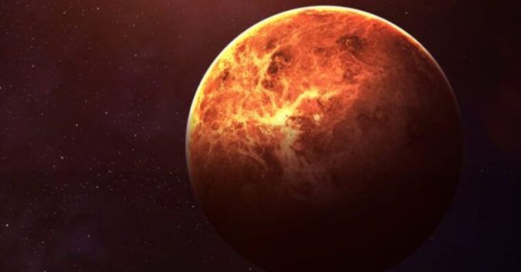 hay vida en Venus