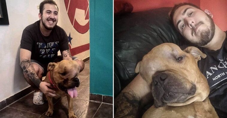 hombre adoptó a un perro que tenía un tumor