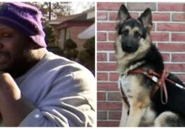 hombre ciego implora entre lágrimas que le devuelvan a su perro robado