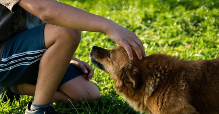 hombre en coma se despierta con el ladrido de su perro