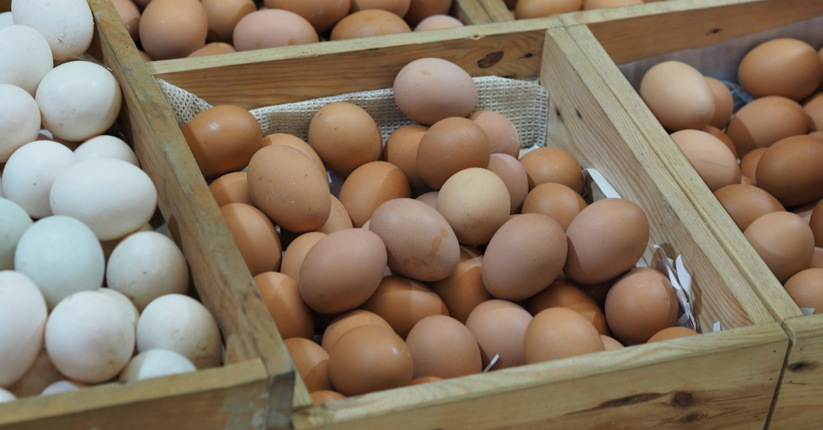 ¡7 Razones para comer más huevos en tu día a día! eConsejos