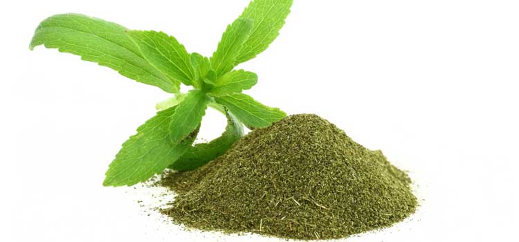 infusion de stevia consumir