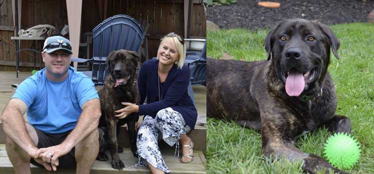 intenta matar de hambre a un cachorro familia