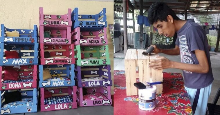 joven con discapacidad fabrica camitas para mascotas