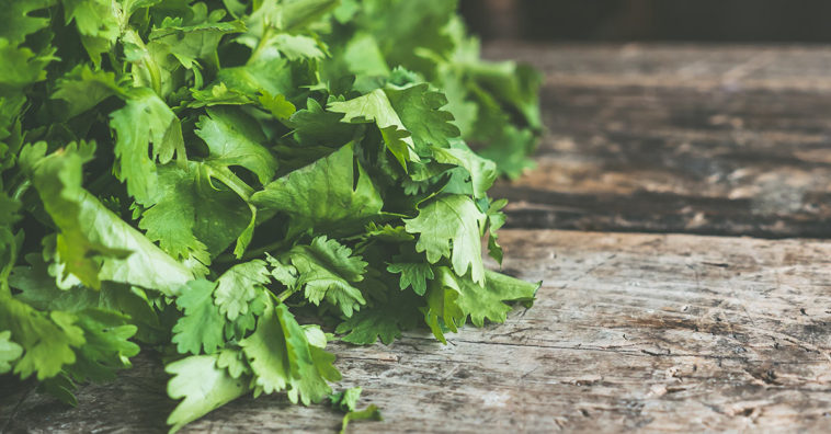 jugo de cilantro