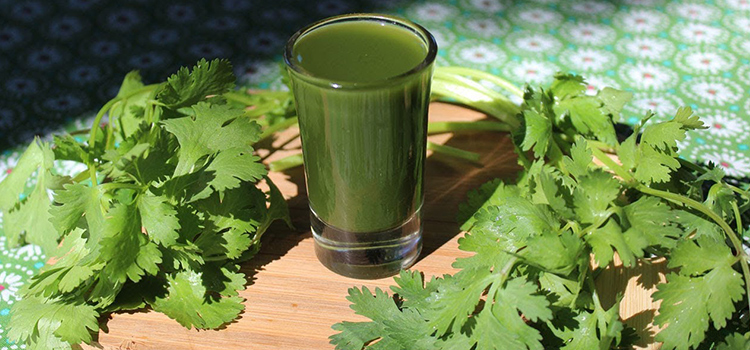 jugo de cilantro beneficios