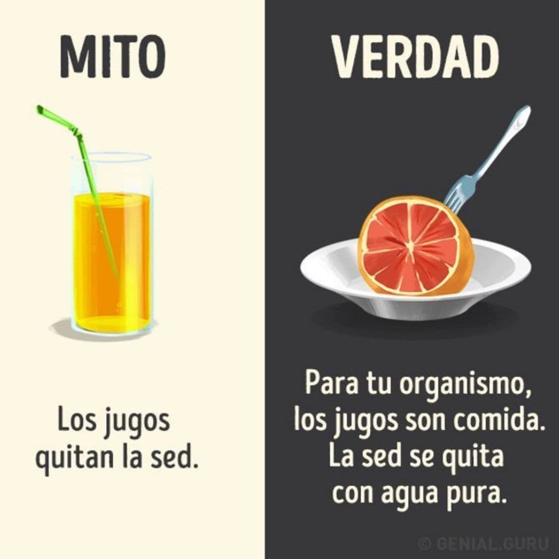 Mitos que hay que olvidar sobre algunas bebidas