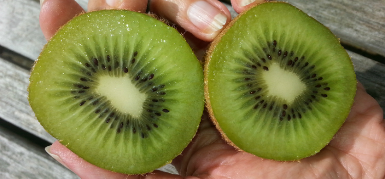 kiwi