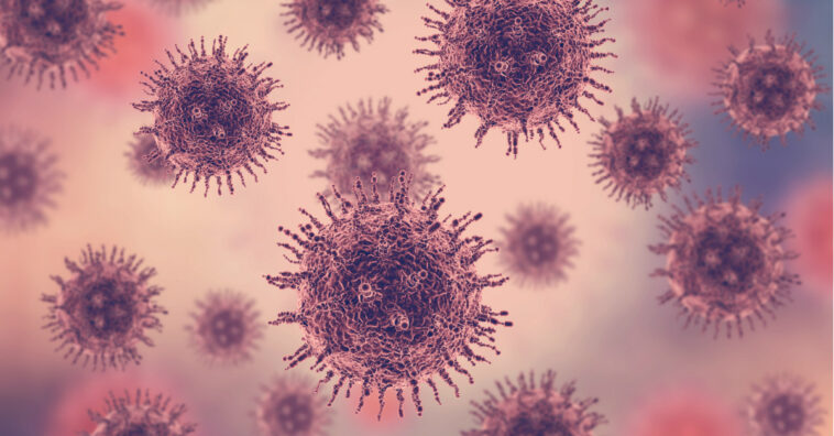 la bacteria come carne