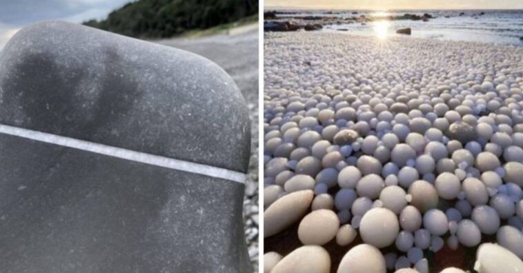 la naturaleza nunca deja de sorprender