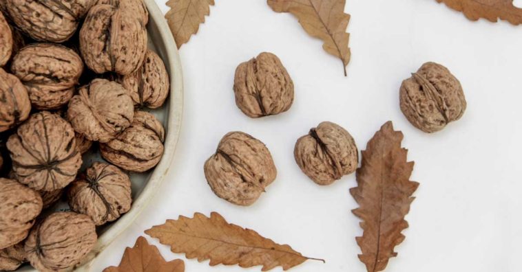 las nueces engordan