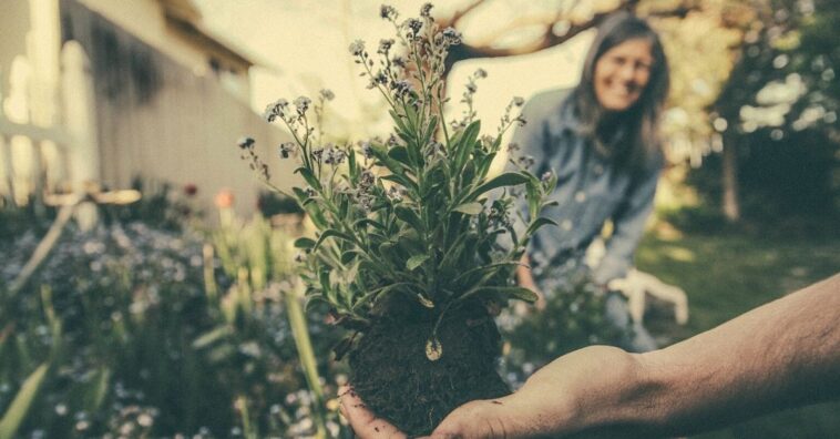 las plantas de exterior piden salir a la calle