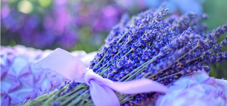 lavender