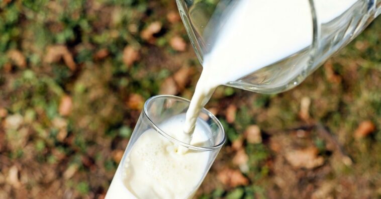 leche de cucaracha