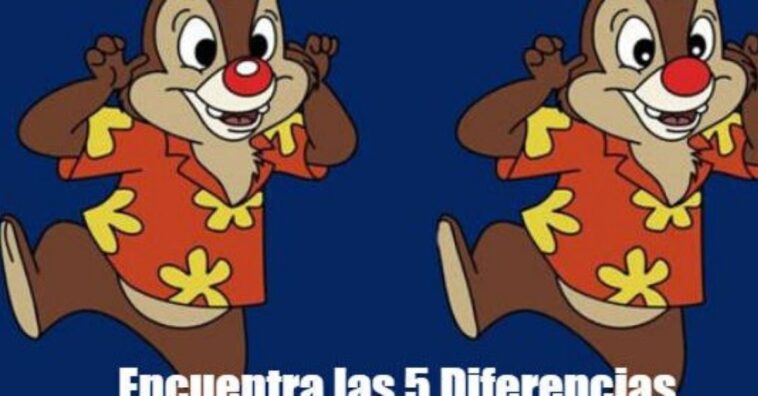 localizar las 5 diferencias de la ardilla