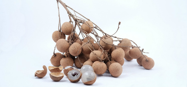 longan