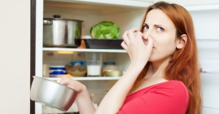 mantener la comida cocinada en el frigorífico