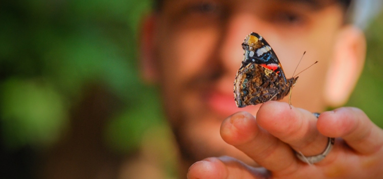 mariposas son mensajeros espirituales espiritual