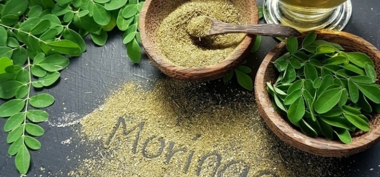 moringa