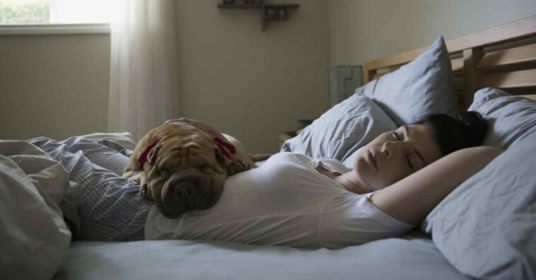 mujeres podrían dormir mejor con sus perros que con sus parejas