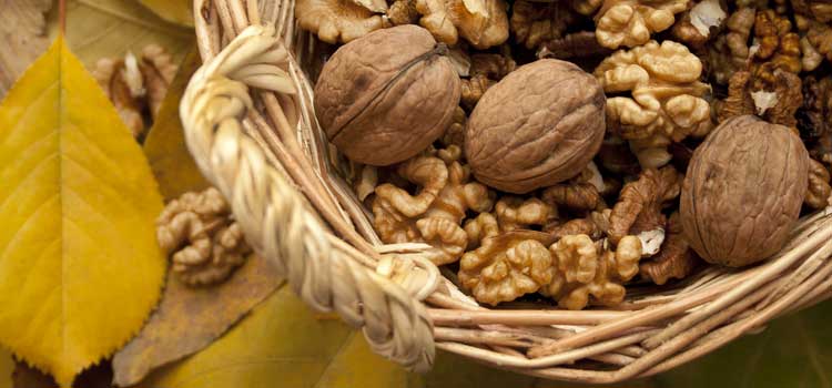 nueces beneficios