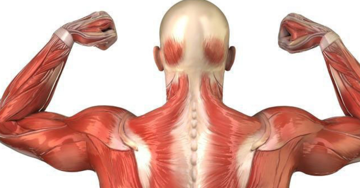 ¿El cuerpo se puede curar solo?