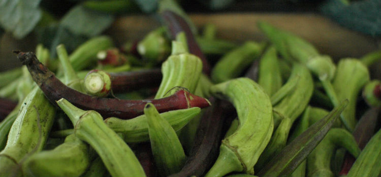 okra