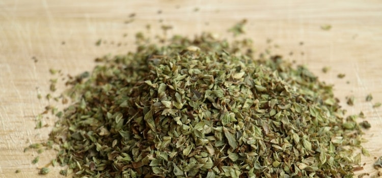 oregano