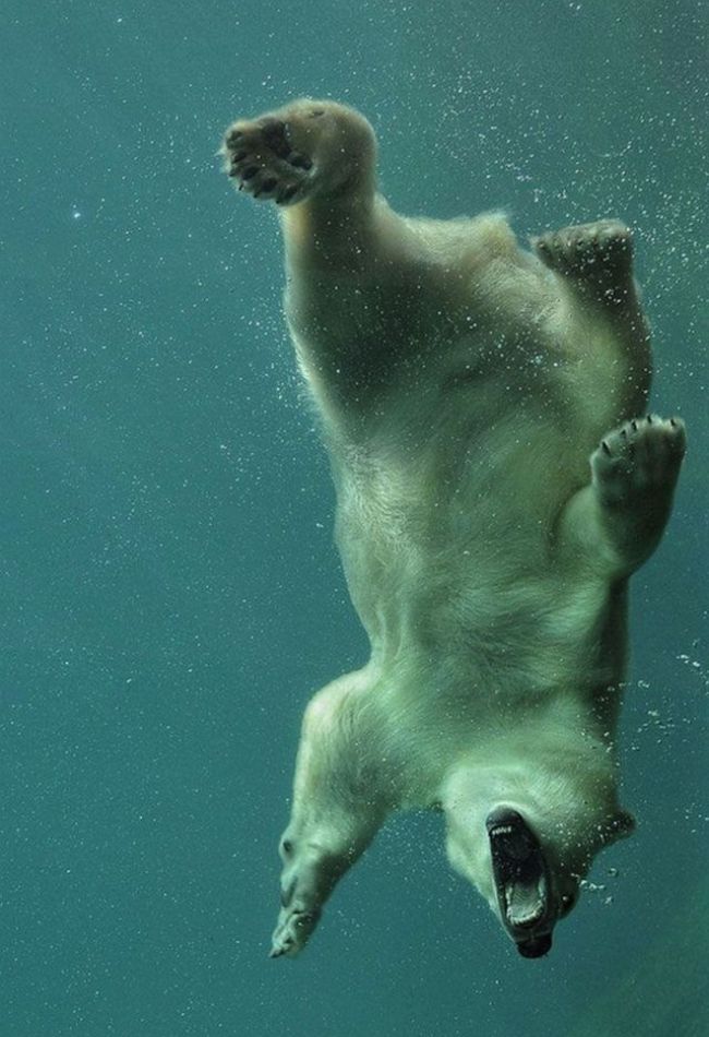 Fotografías sacadas en el momento perfecto