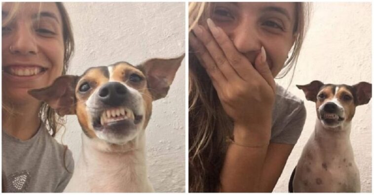 perrito de un refugio sonríe al sacarse una selfie con su cuidadora