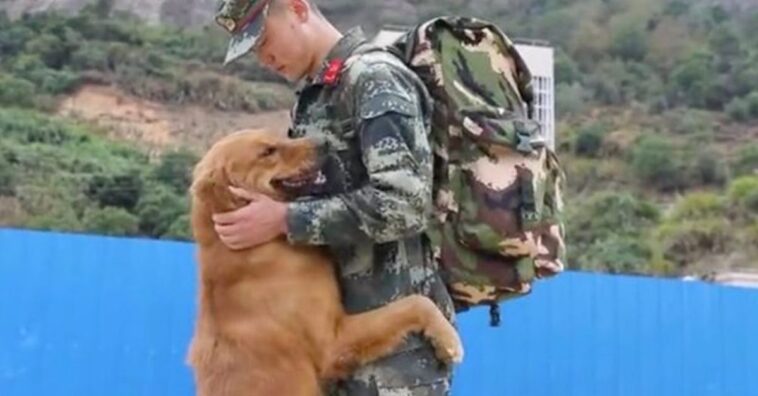 perro militar sigue a su mejor amigo soldado para abrazarlo