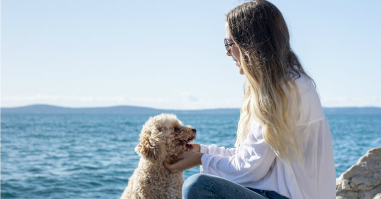 perros tienen una función espiritual en las personas