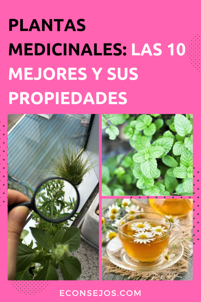 Plantas medicinales