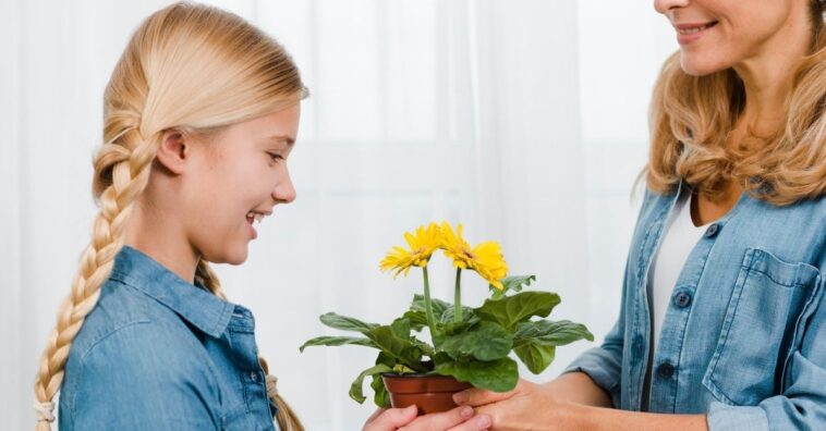 Consejos de plantas para regalar