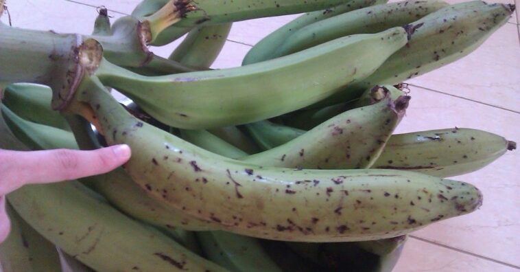 plátano guineano maduro contiene propiedades anticancerígenas