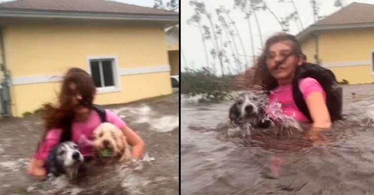 pone en peligro su vida para salvar a sus 2 perritos mientras escapan de las inundaciones