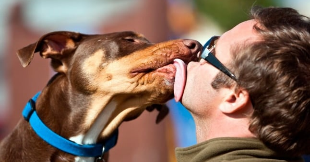 ¿Por qué los perros te lamen los pies y el rostro?