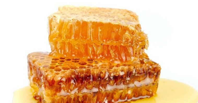 naturaleza trata diversos problemas de salud