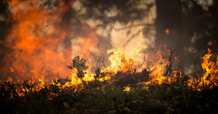 protegerte de los incendios