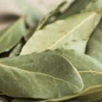 quemar la hoja de laurel