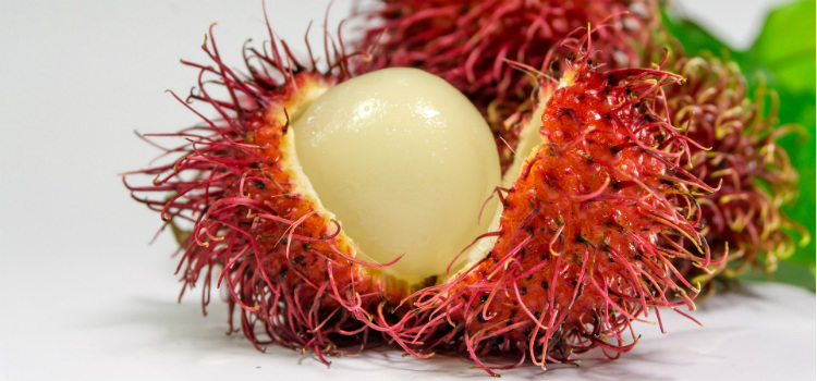 rambutan